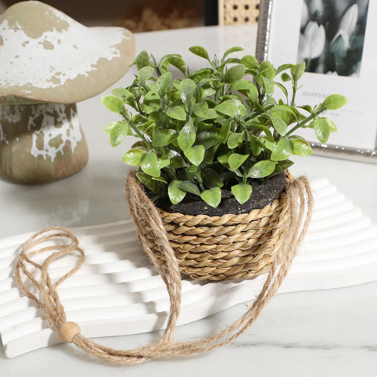 Plante Suspendue Décorative