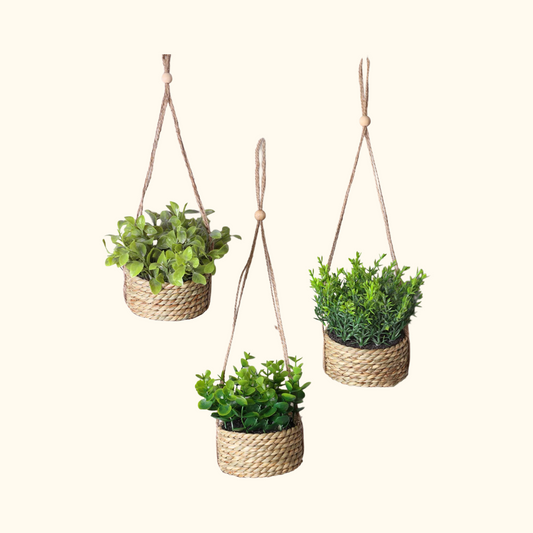 Plante Suspendue Décorative