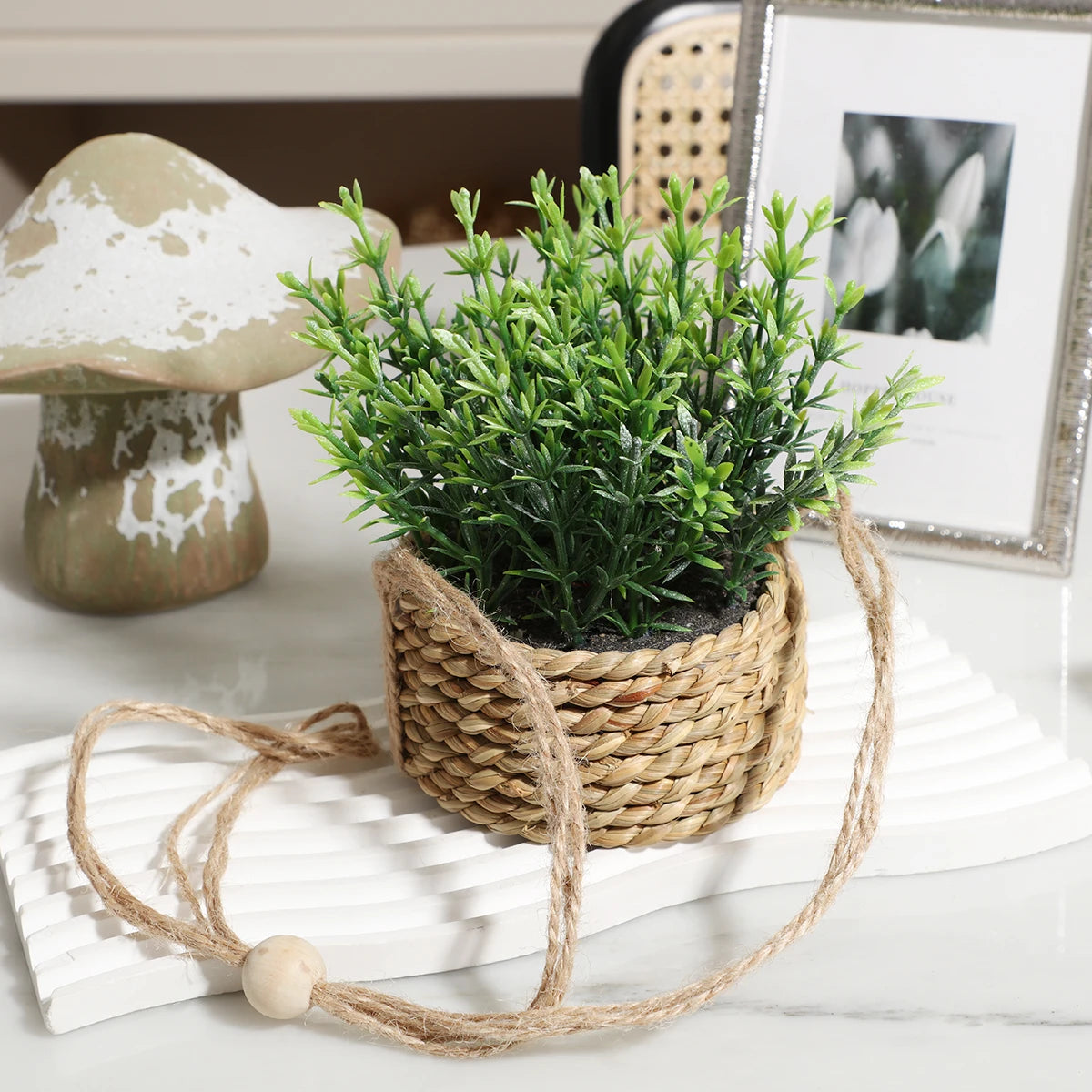 Plante Suspendue Décorative